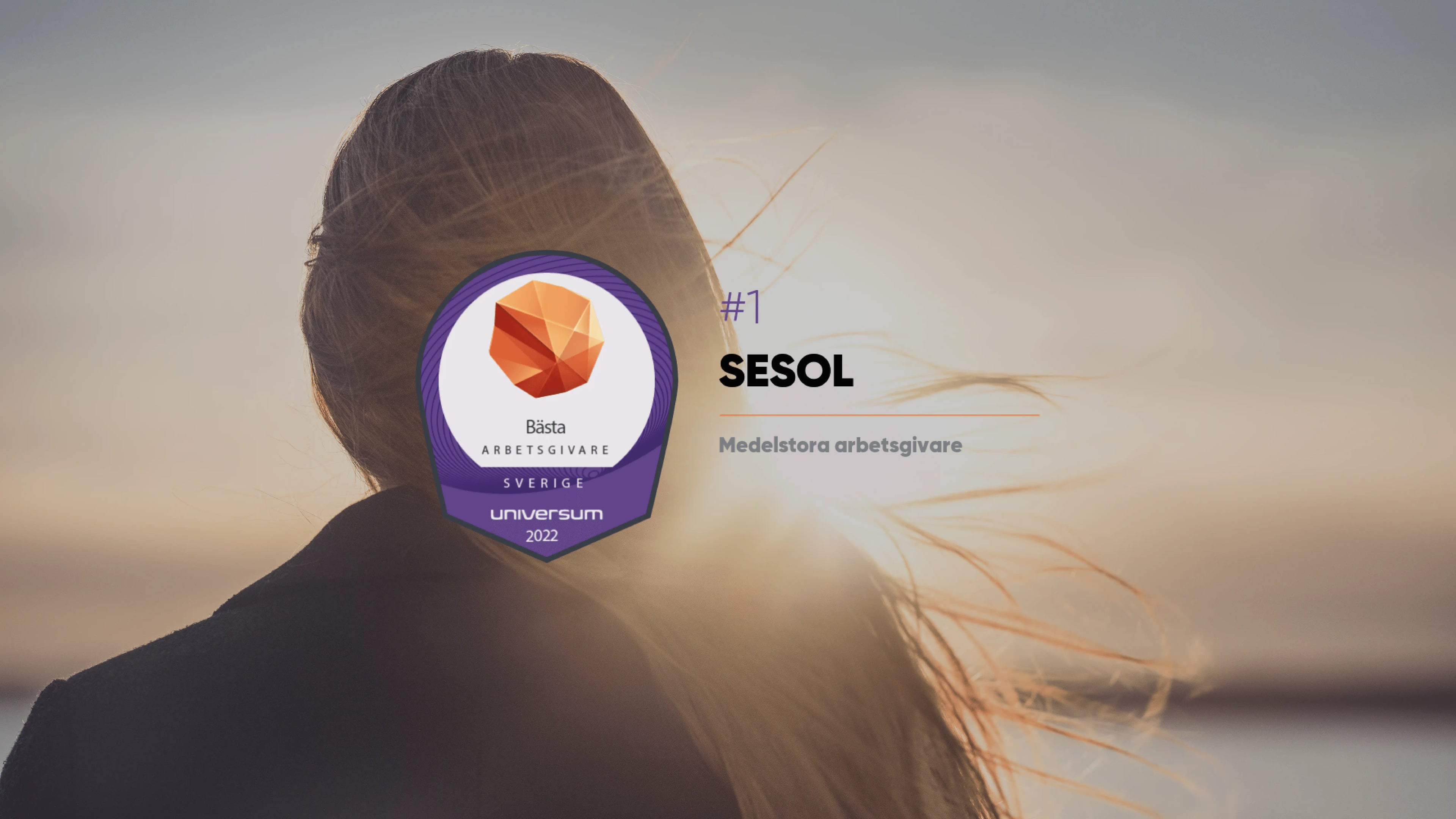 Karriärföretag 2022